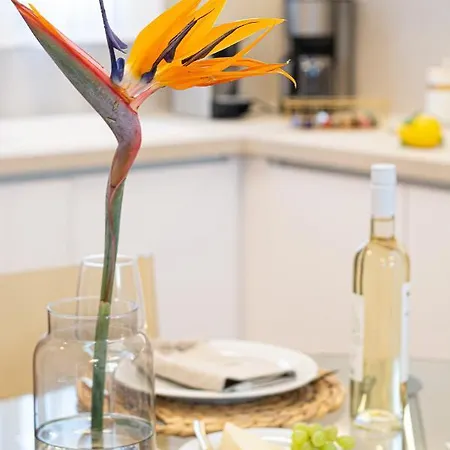 Villa Dafni - *