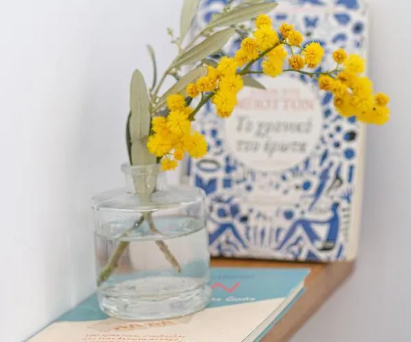 Vilă Dafni - Líndos